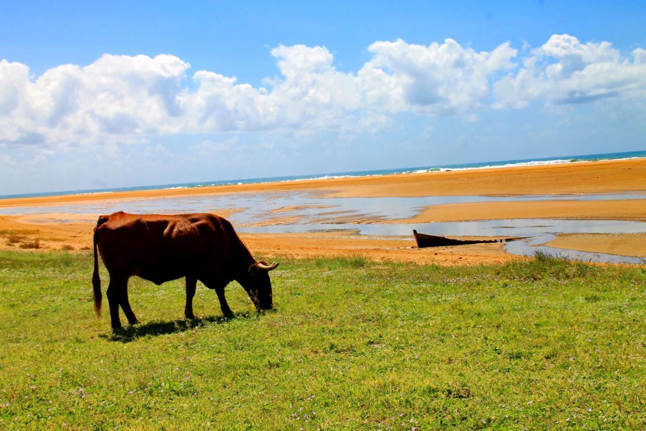 San Jose Obrero Conil De La Frontera